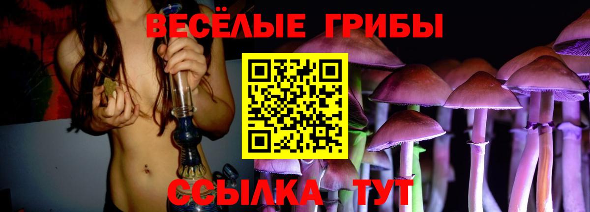 Гудермес  Галлюциногенные грибы Psilocybe  Вход с VPN  Галлюциногенные грибы мухоморы 